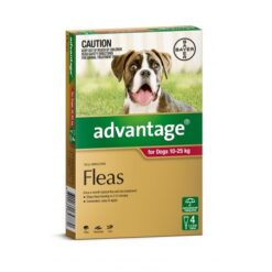 Advantage for Large Dogs 10-25 kg - All Natural Dog Food