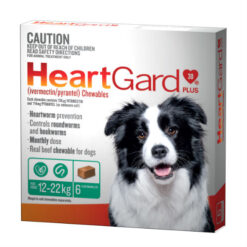 HeartGard 6 Pack Green 12-22kg - Best Online Pet Store