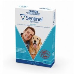 Sentinel Spectrum Tasty Chew Large Dogs - Revolution for Very Small Dogs - The Best Pet Shop Australia