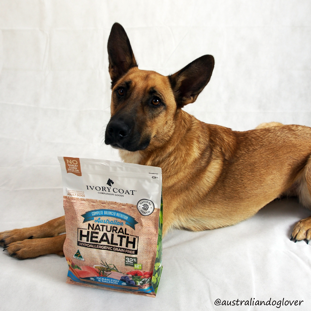 Just Dog Food - Dog Food Brand - Online Dog Food